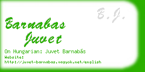 barnabas juvet business card
