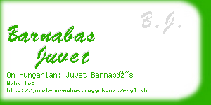 barnabas juvet business card